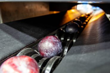 gpgraders-gpVision™ Technology for Stone Fruit
