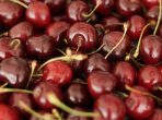 gpgraders-cherry-market-access-and-trade-development