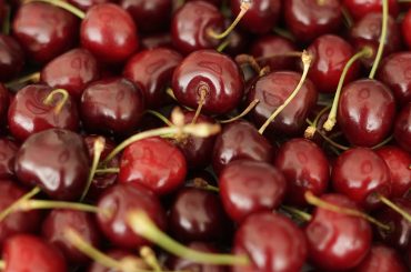 gpgraders-cherry-market-access-and-trade-development