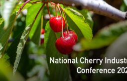 gpgraders-national-cherry-industry-conf-2024