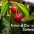 gpgraders-national-cherry-industry-conf-2024