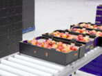 gpgraders-Recovery-in-Australias-Stone-Fruit-Production